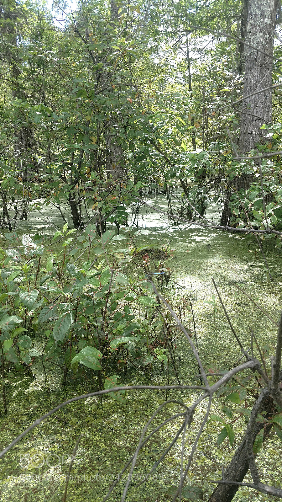 Motorola XT1650 sample photo. Img_20170706_153354174.jpg photography