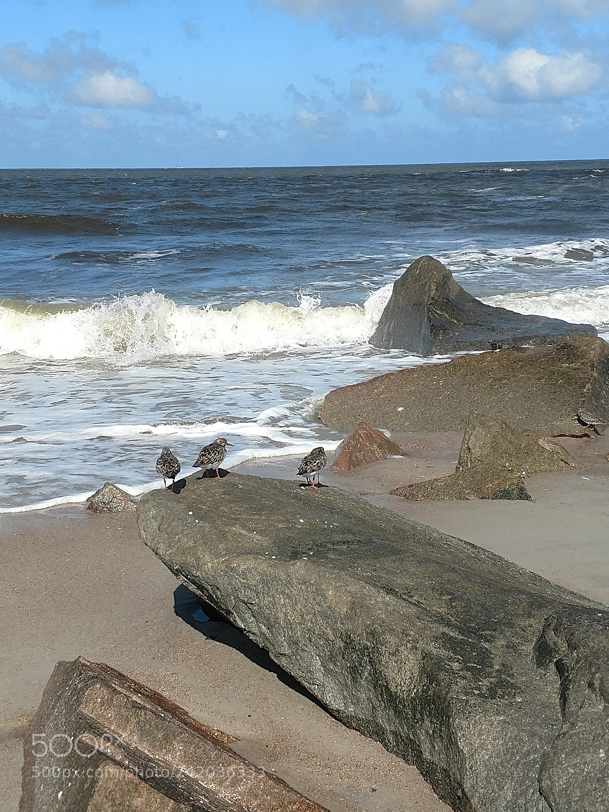 Motorola XT1650 sample photo. Img_20171015_145927778.jpg photography