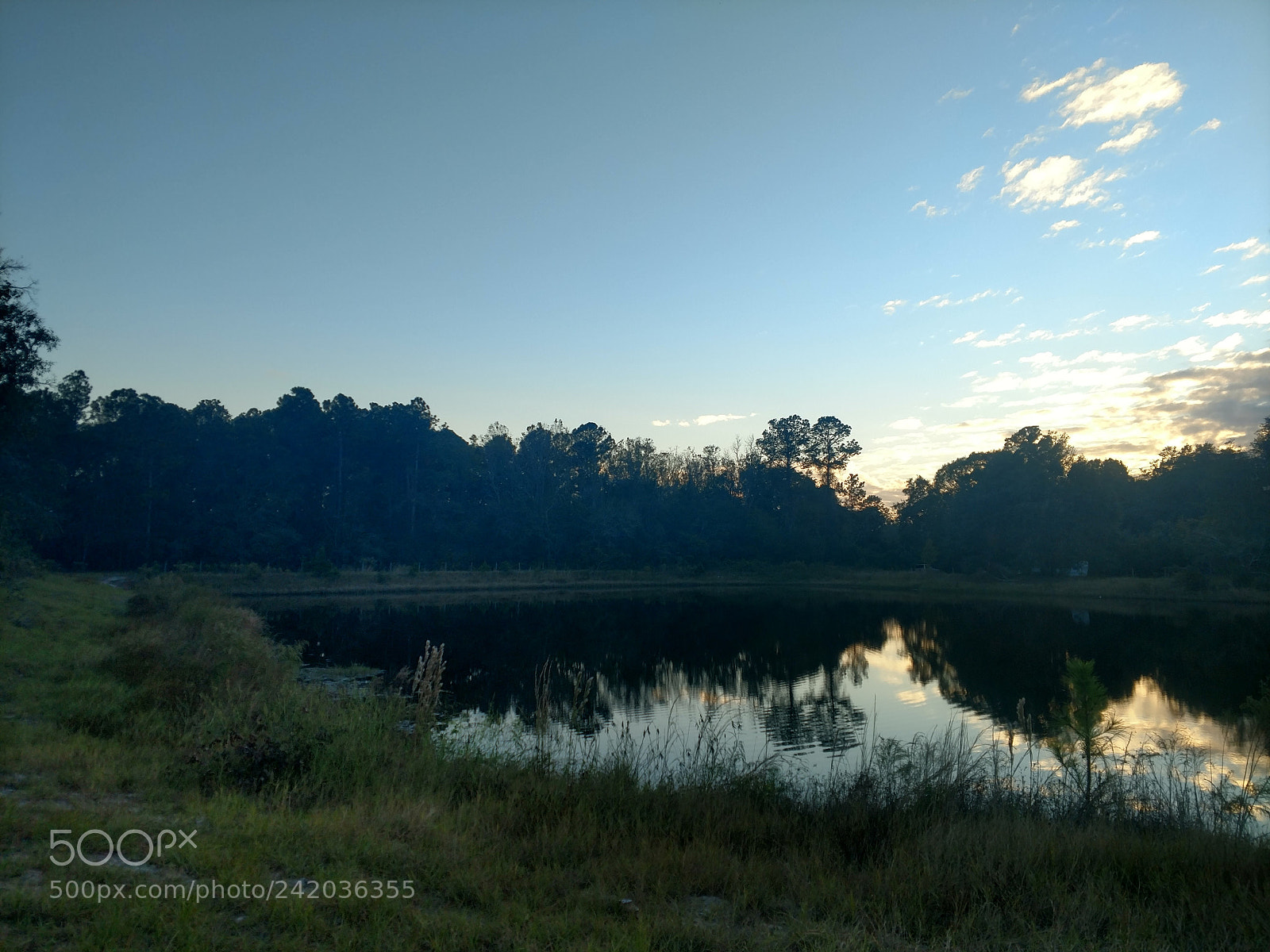 Motorola XT1650 sample photo. Hdr photography