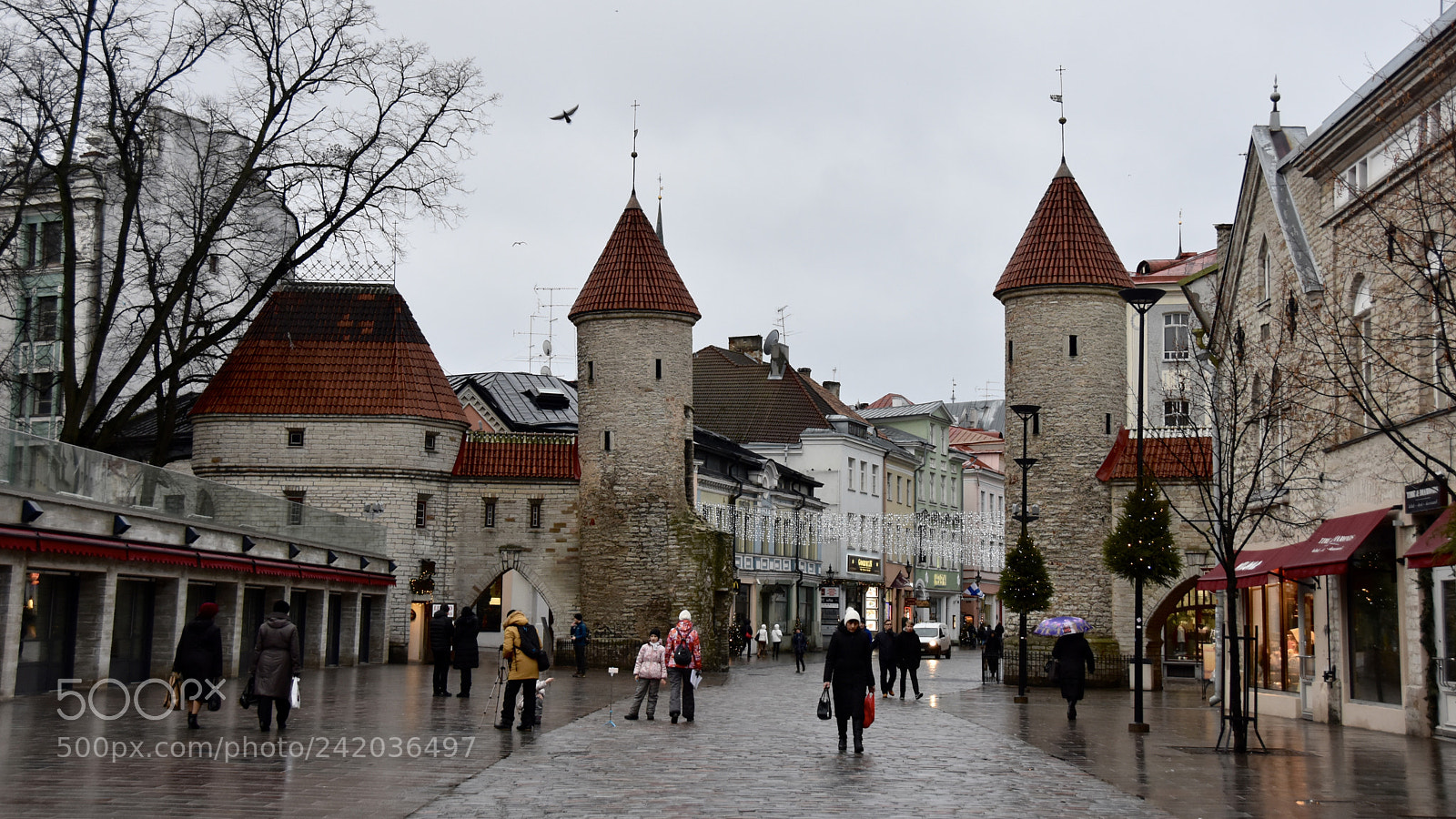 Nikon D7200 sample photo. Tallinn photography