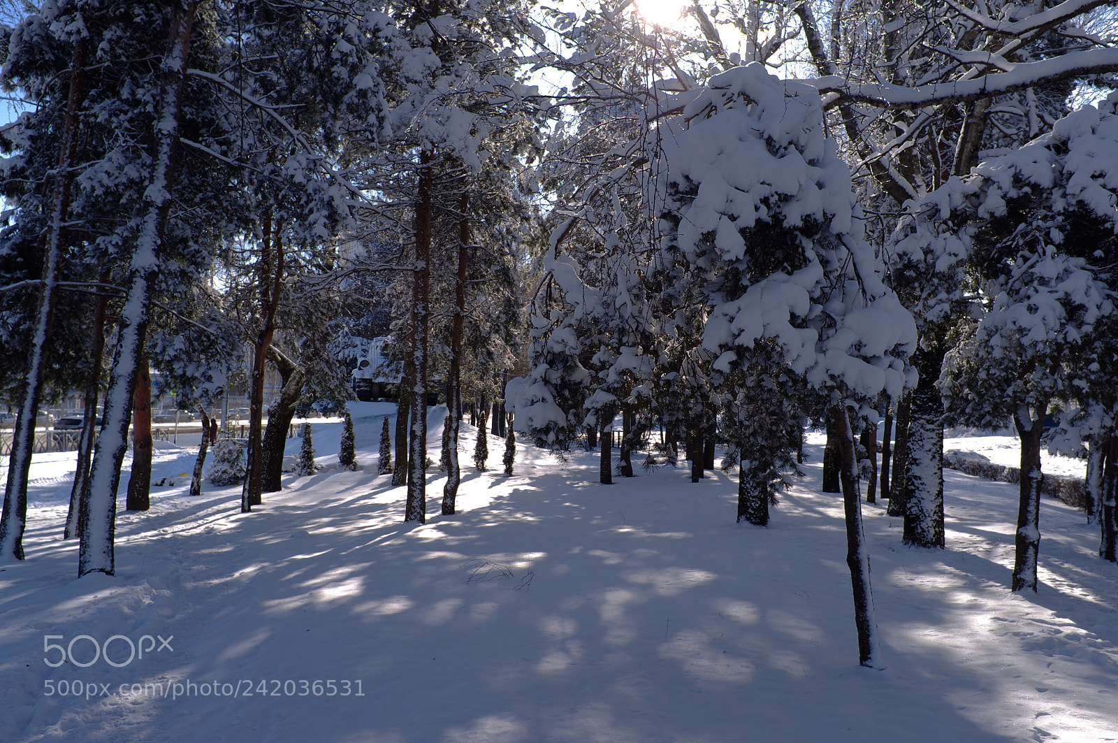 Fujifilm FinePix X100 sample photo. White sity photography