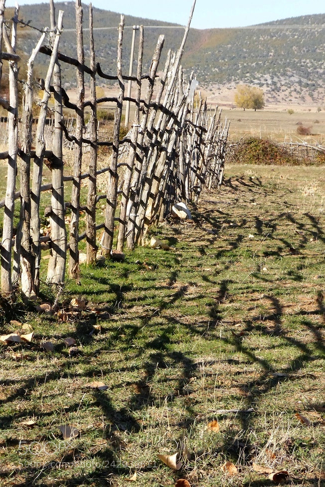 Panasonic Lumix DMC-ZS40 (Lumix DMC-TZ60) sample photo. Albanie1 photography