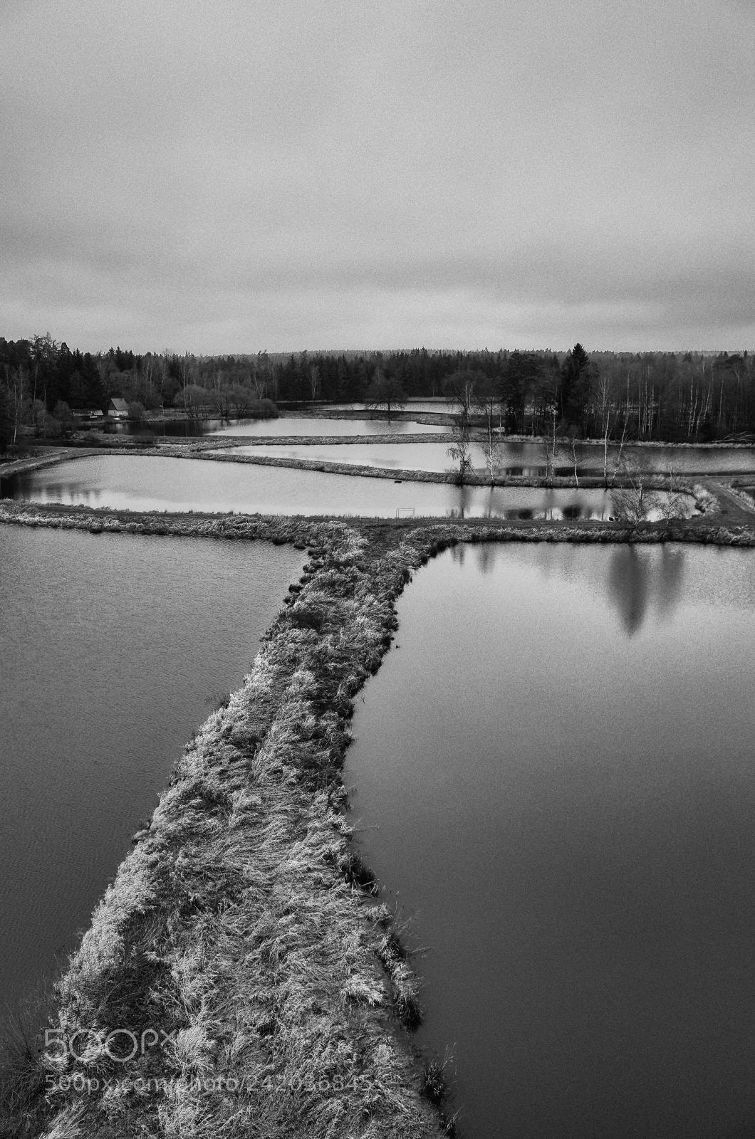 Ricoh GR II sample photo. Teichpfanne, waldnaabaue tirschenreuth photography