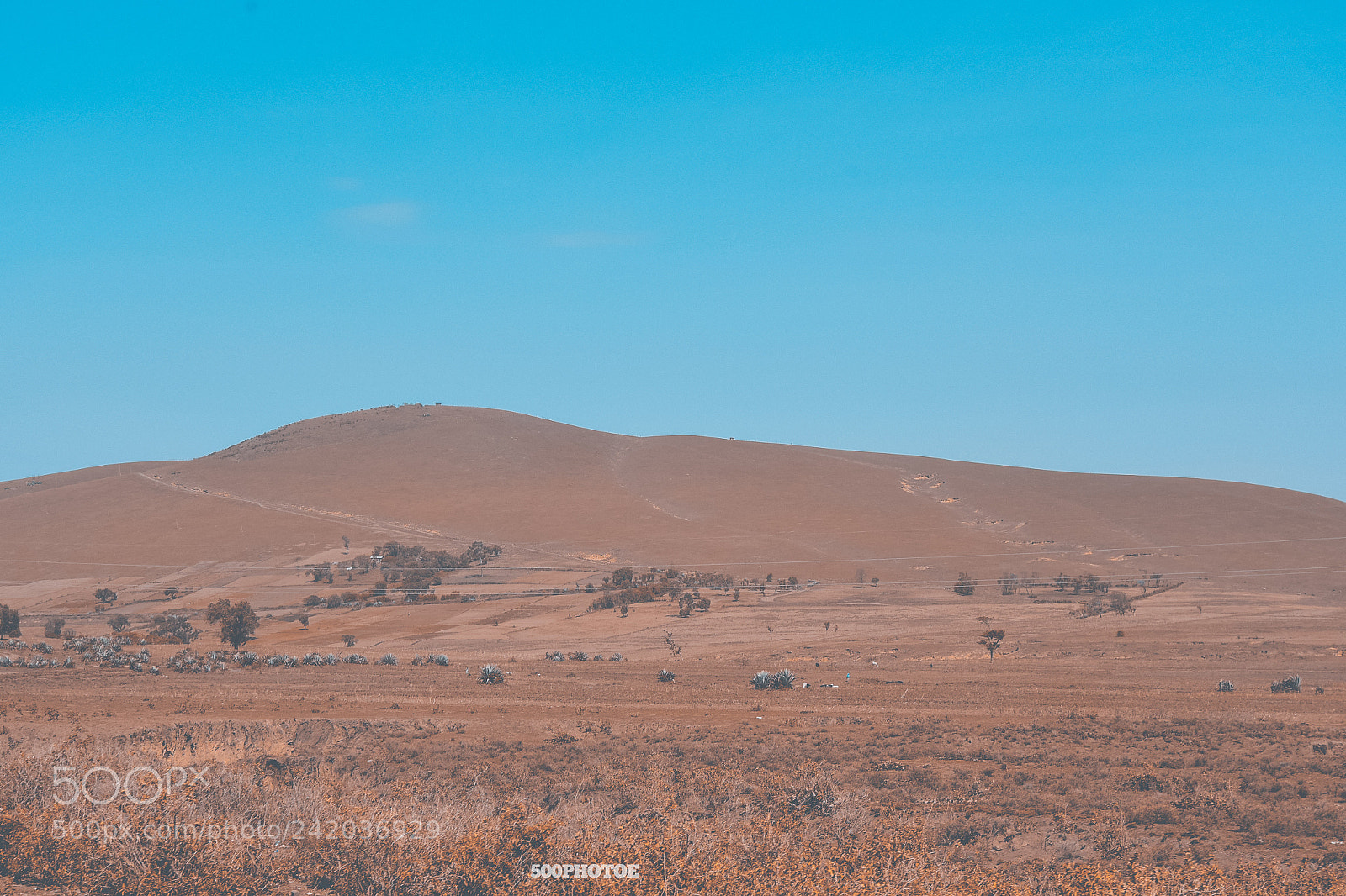 Nikon D810 sample photo. Travel to inspire photography