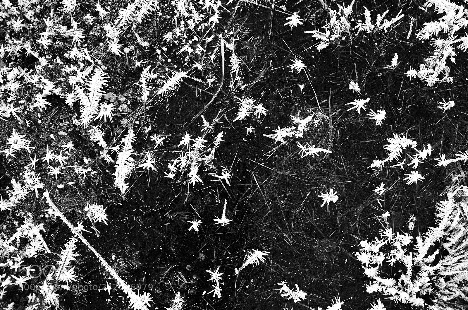 Ricoh GR II sample photo. Deep below the snow photography