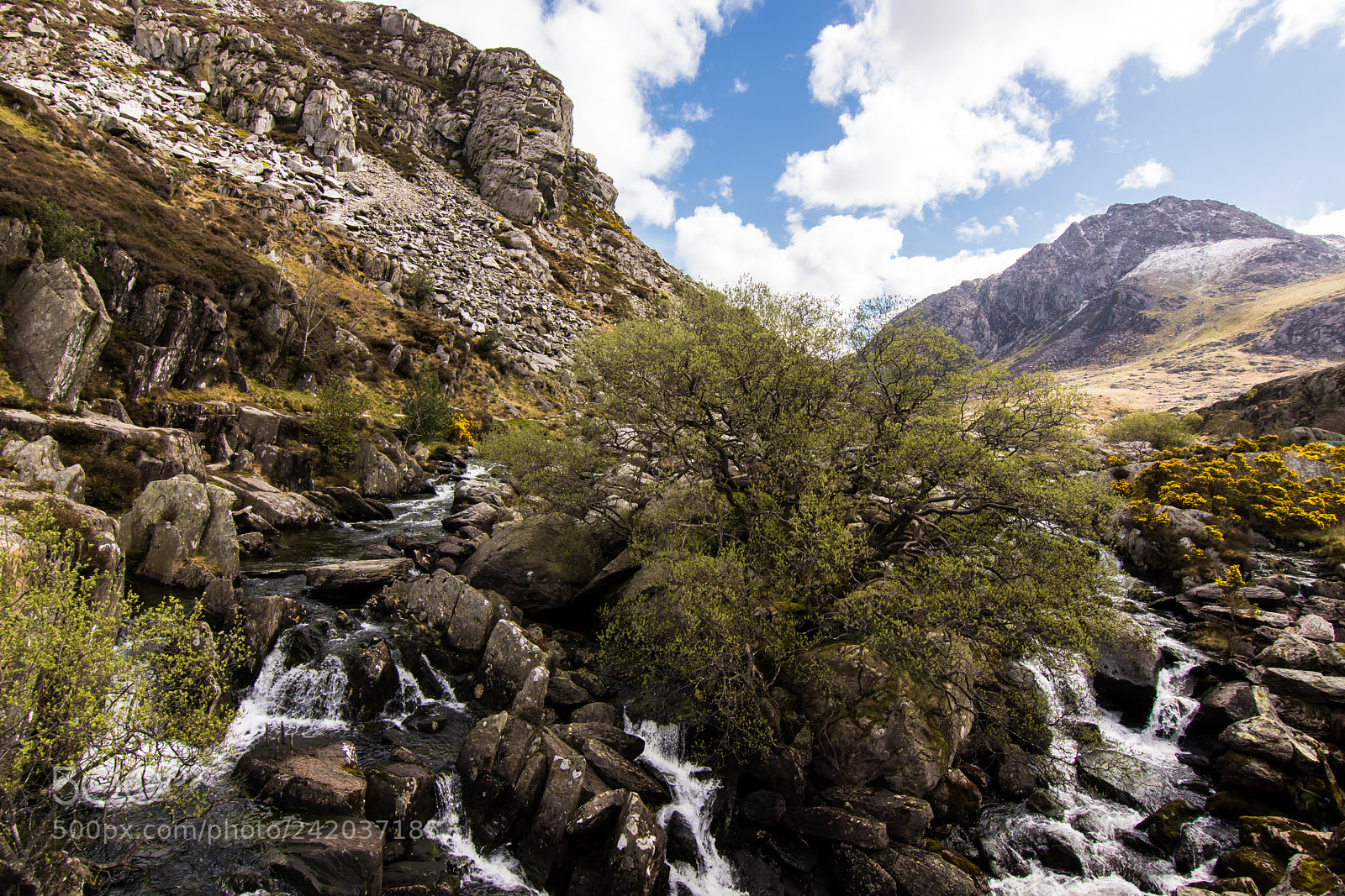 Nikon D7200 sample photo. The flow from llyn photography