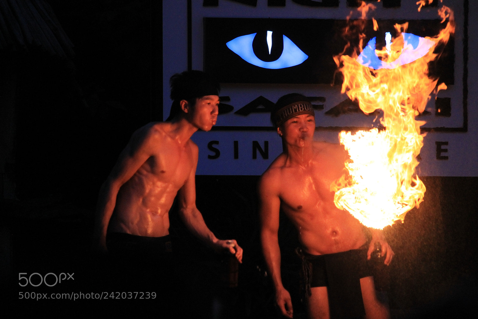 Canon EF-S 55-250mm F4-5.6 IS II sample photo. Img photography