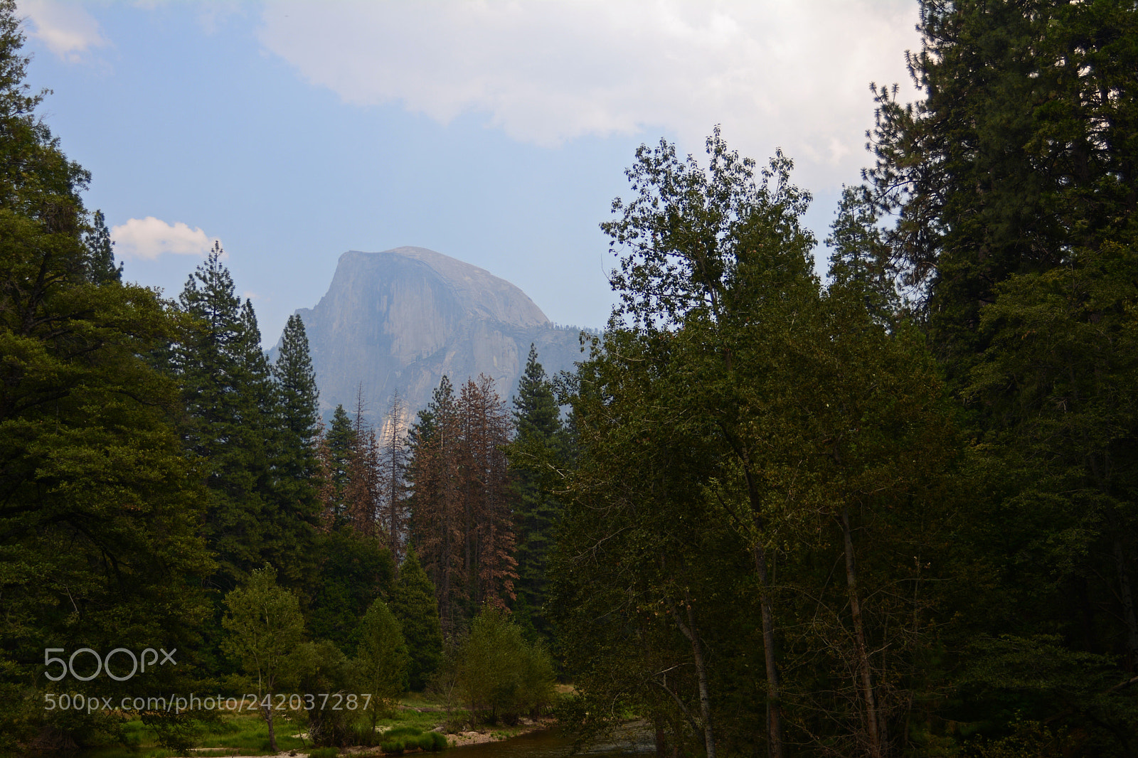 Nikon D7100 sample photo. Fullsizeoutput photography