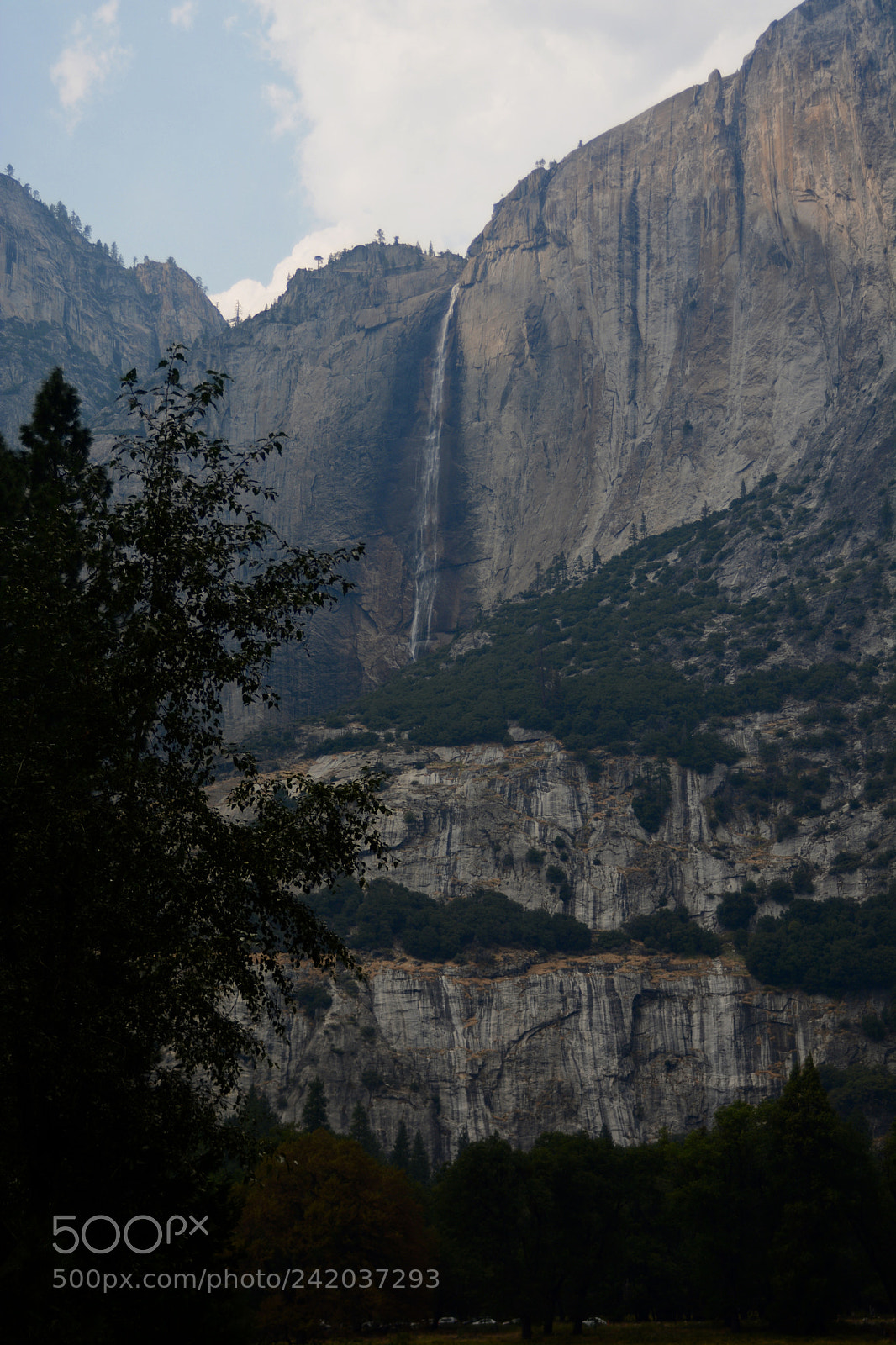 Nikon D7100 sample photo. Fullsizeoutput photography