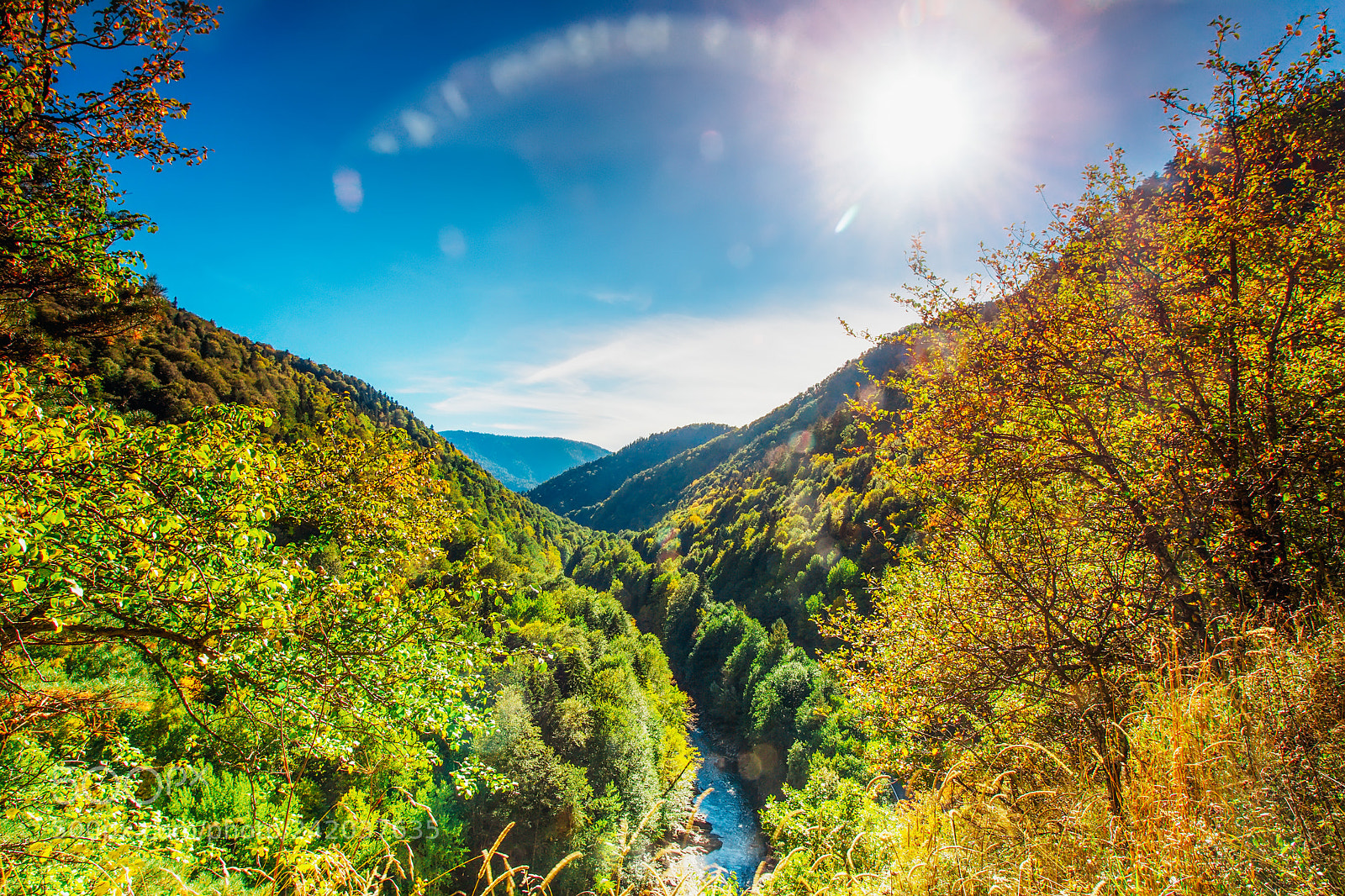 Canon EOS 60D sample photo. Sunny autumn day in photography