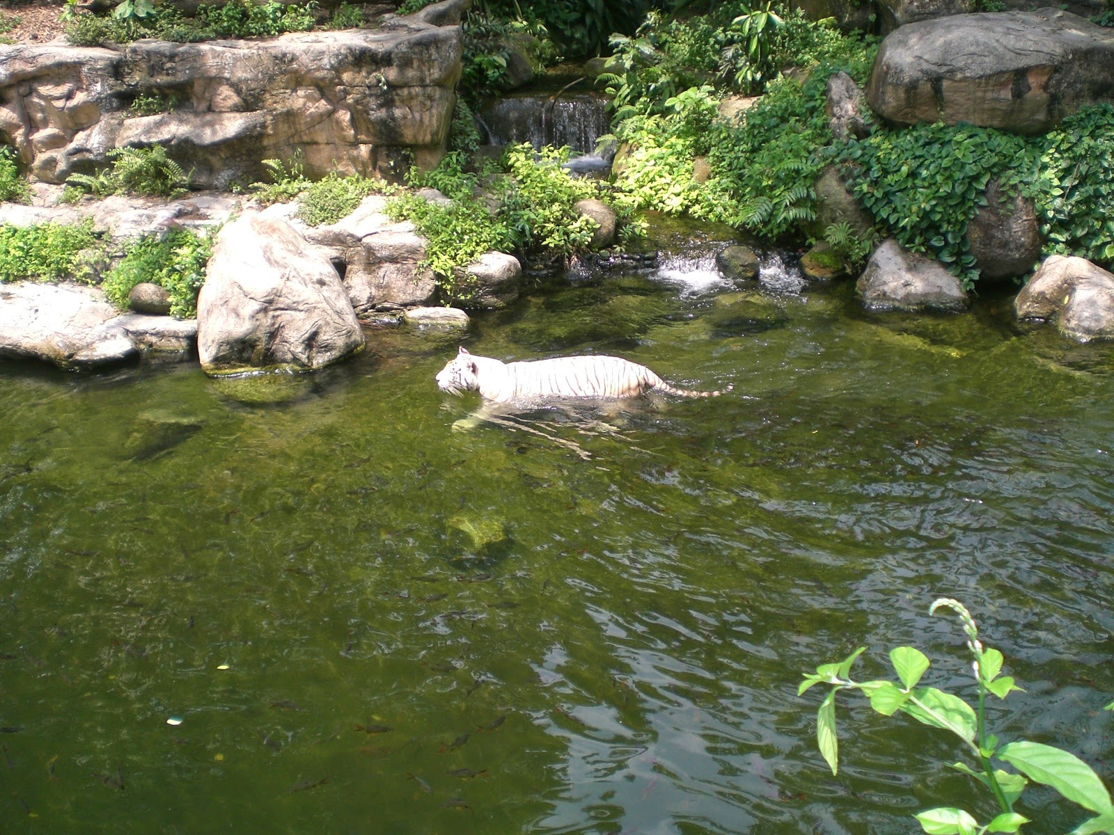 CASIO EX-Z60 sample photo. Cimg photography