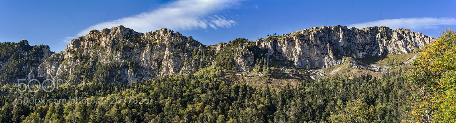 Canon EOS 60D sample photo. Panoramic photo of the photography