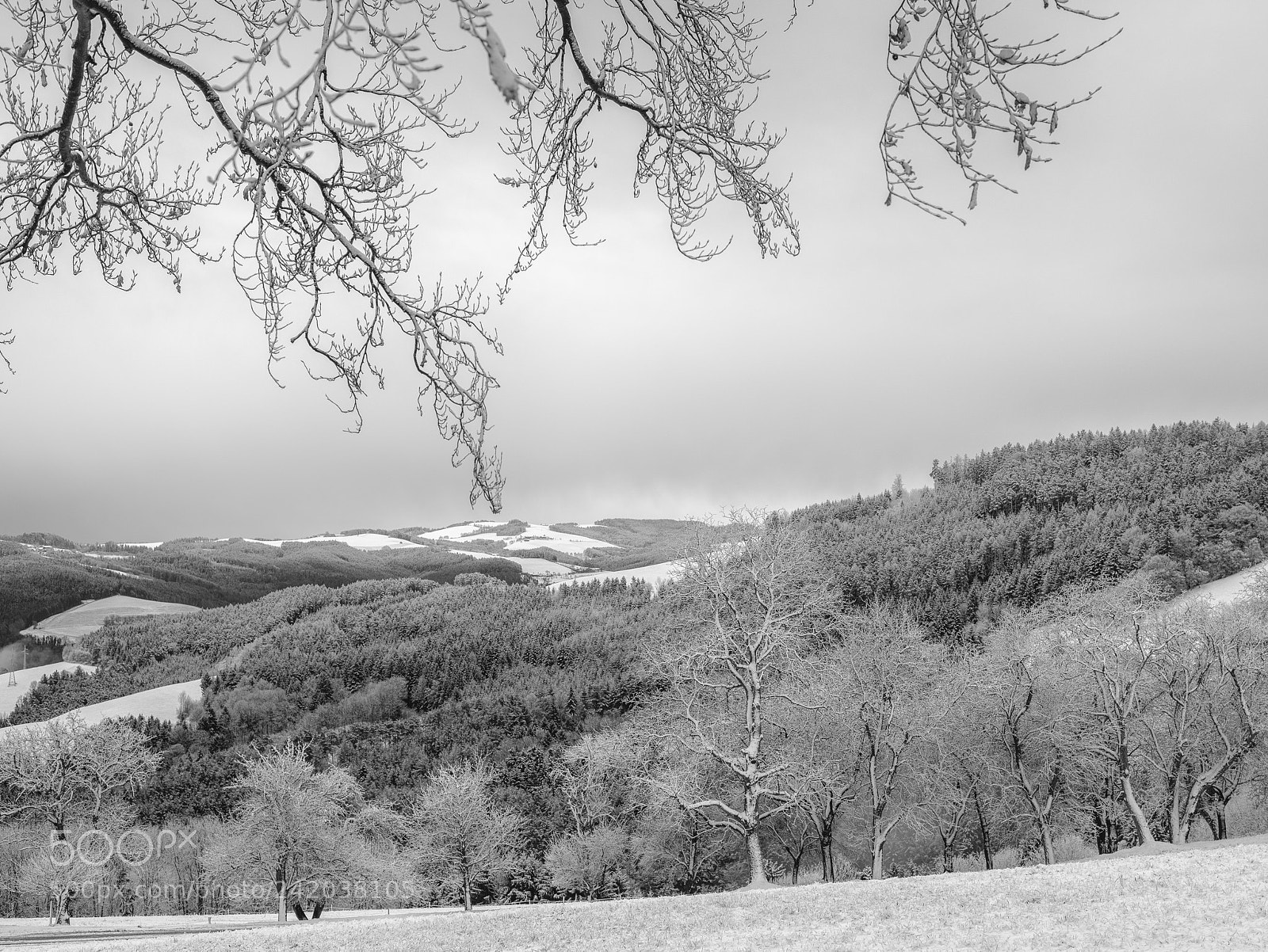 Nikon D810 sample photo. Winter photography