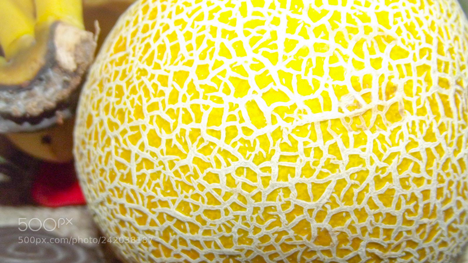 Fujifilm FinePix S2980 sample photo. Nature pattern photography