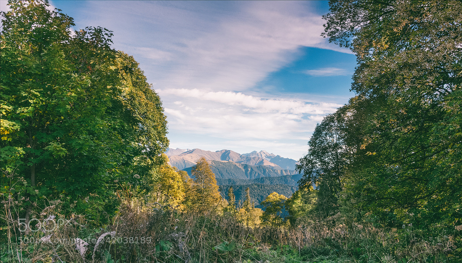 Canon EOS 60D sample photo. Autumn natural landscape with photography