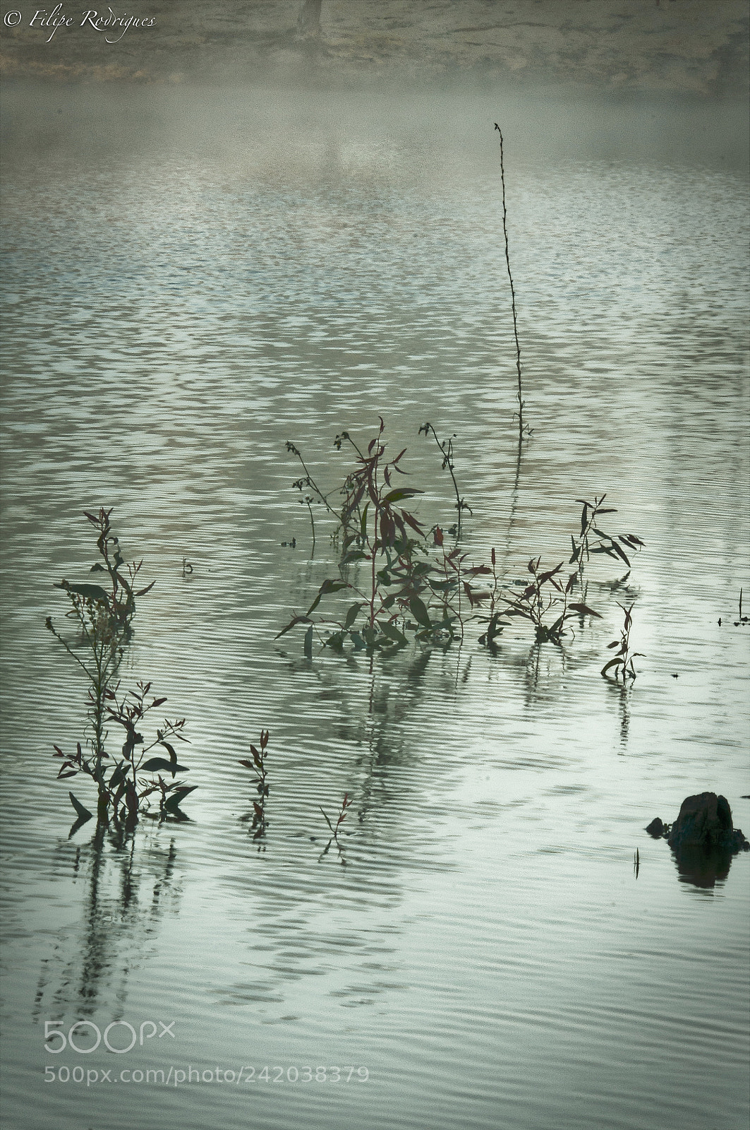 Nikon D300S sample photo. It's pouring photography