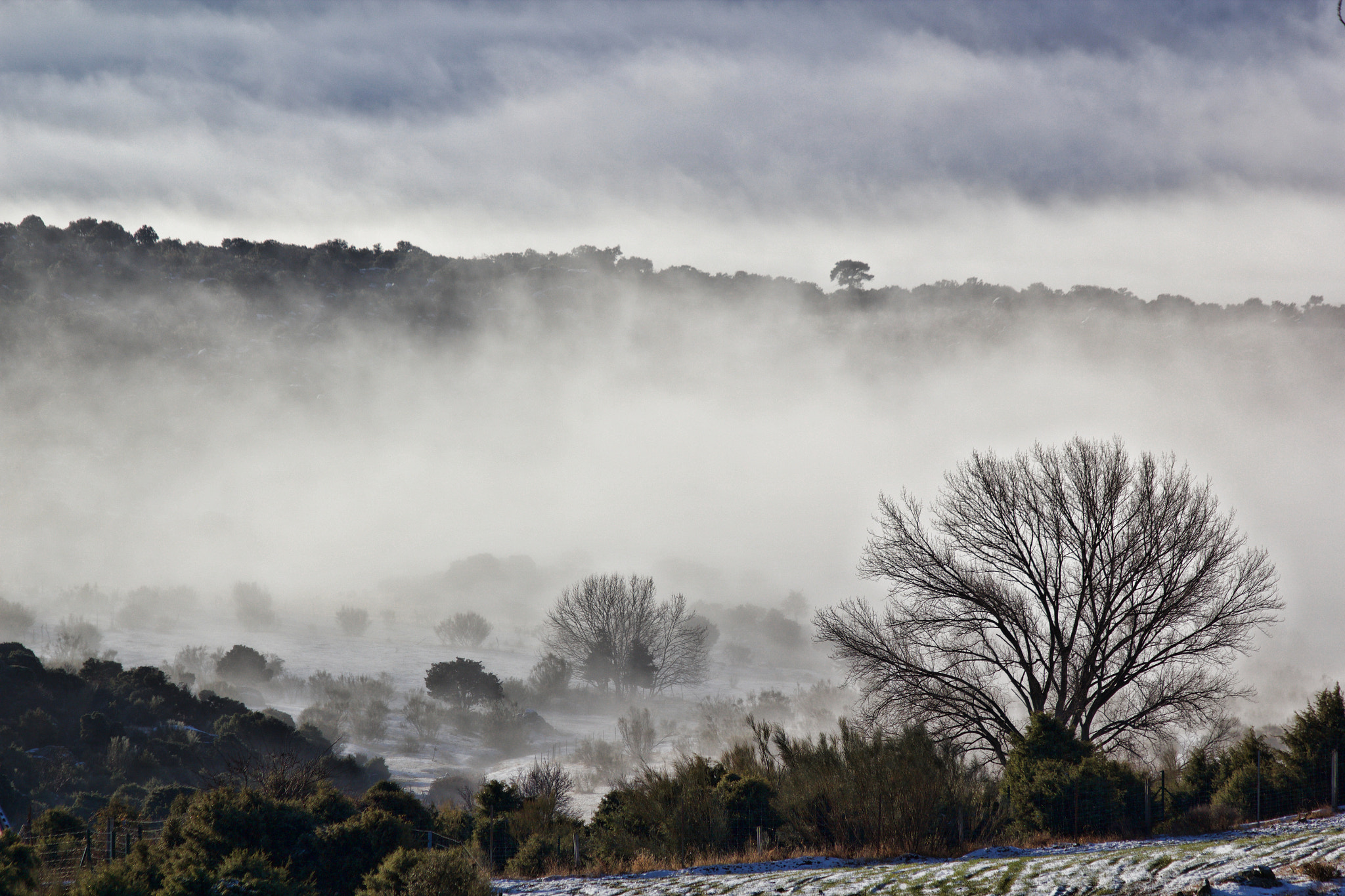 Canon EF 70-300mm F4-5.6 IS USM sample photo. Fog in the cold morning photography