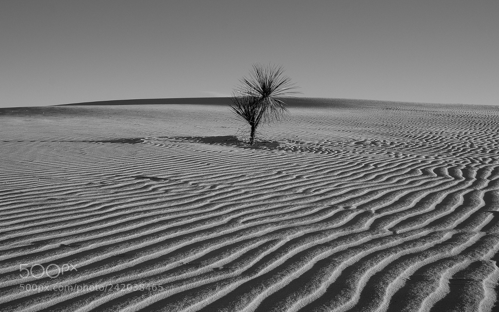 Pentax K-3 II sample photo. White sands photography
