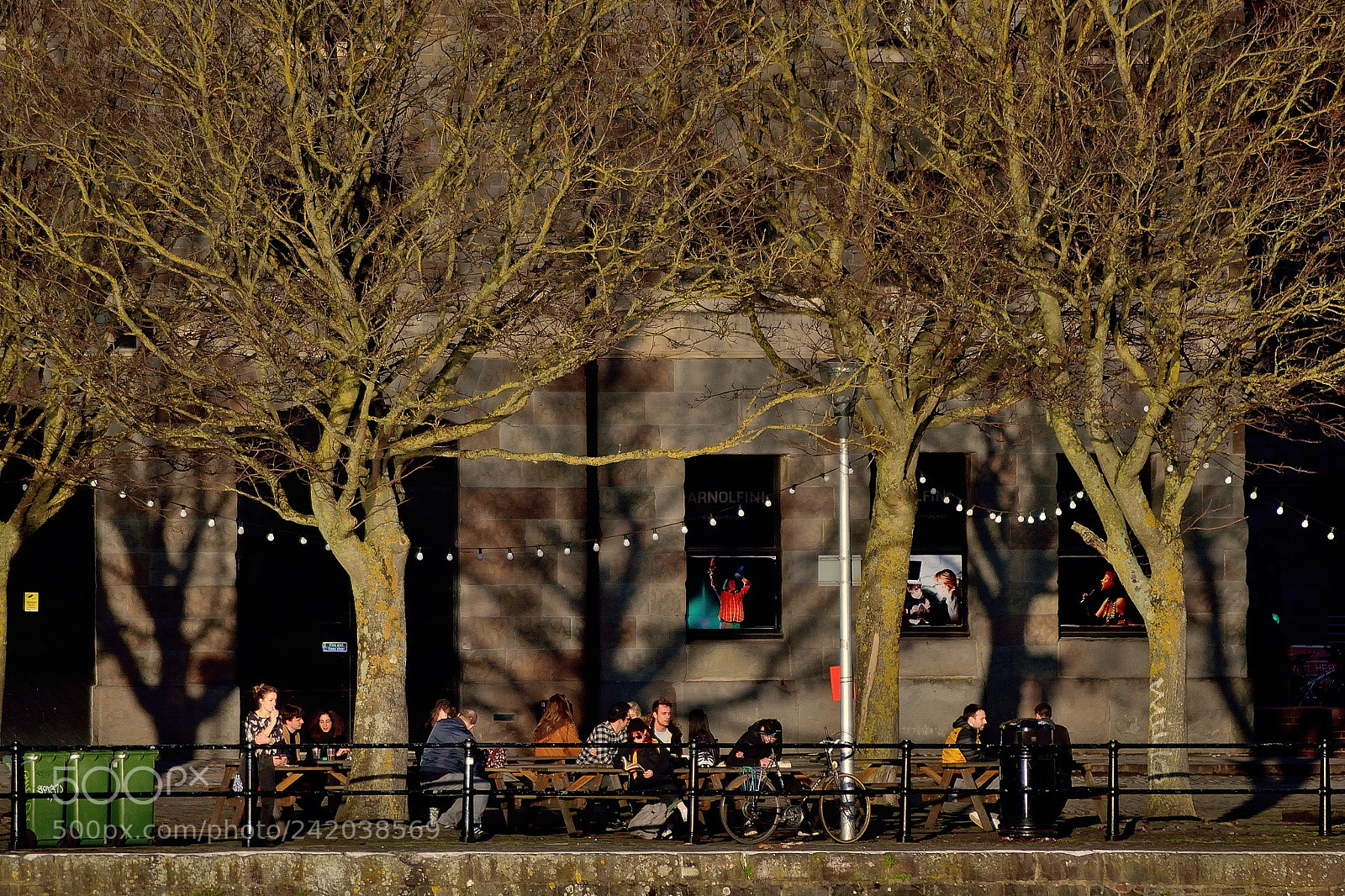 Nikon D3200 sample photo. Under the trees photography