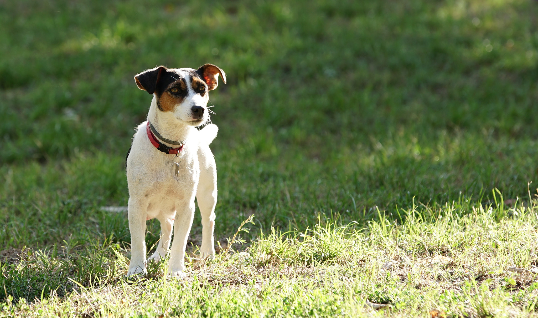 Canon EF 70-200mm F2.8L IS II USM sample photo