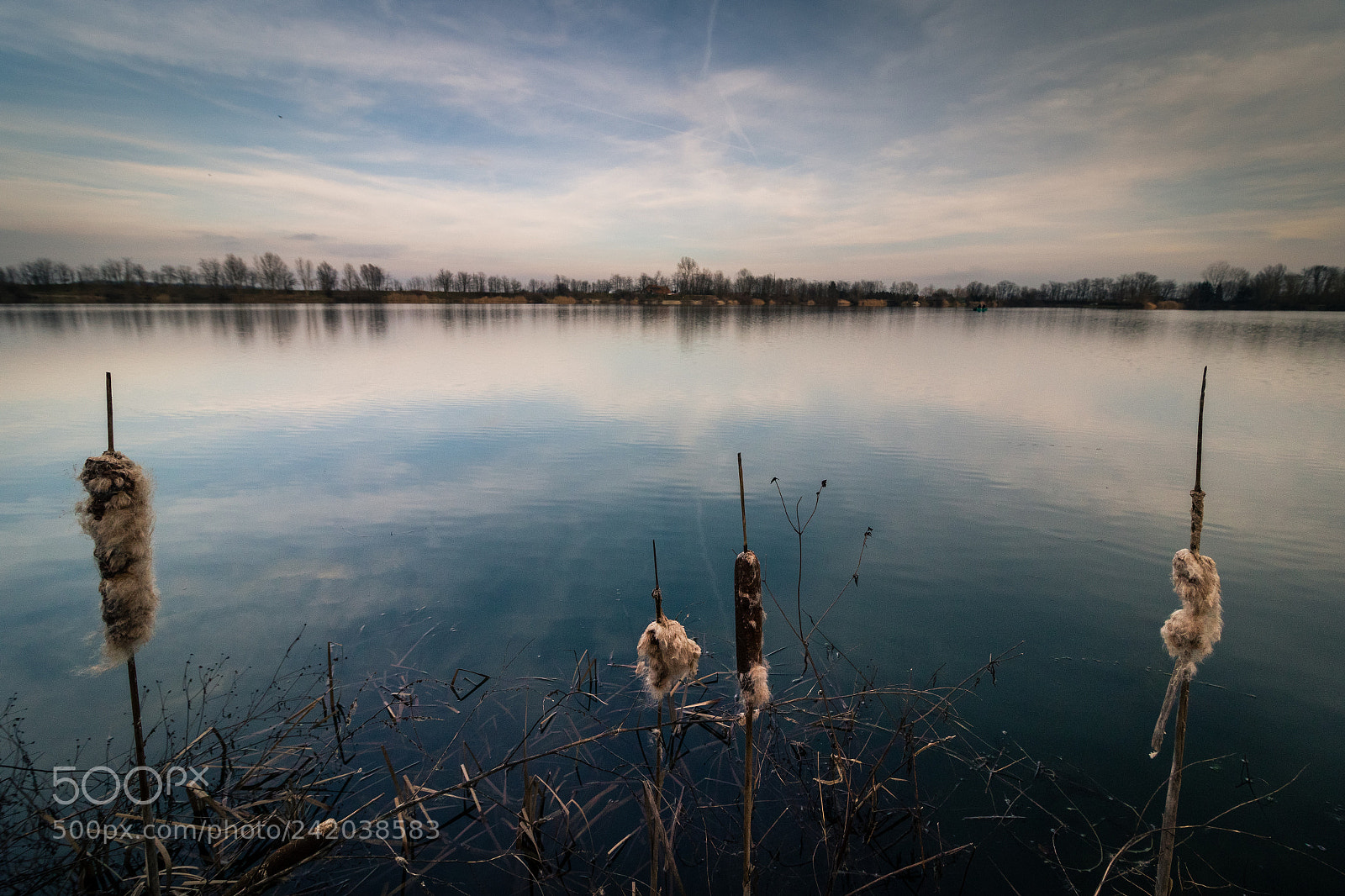 Canon EOS 7D Mark II sample photo. Reflection of the sky photography