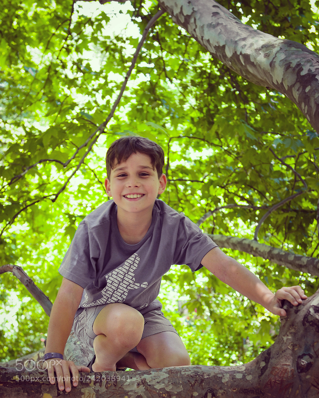 Nikon D800 sample photo. Fun on the tree... photography