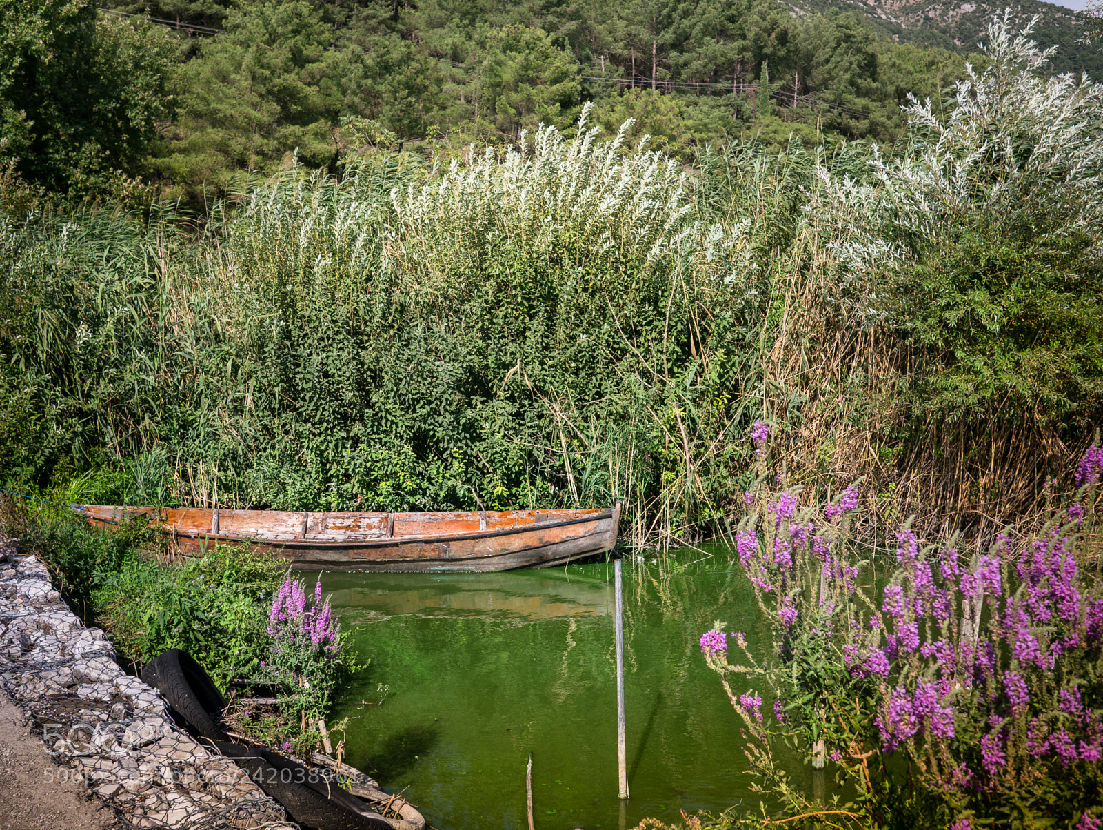 Panasonic Lumix DMC-G3 sample photo. By the lake photography