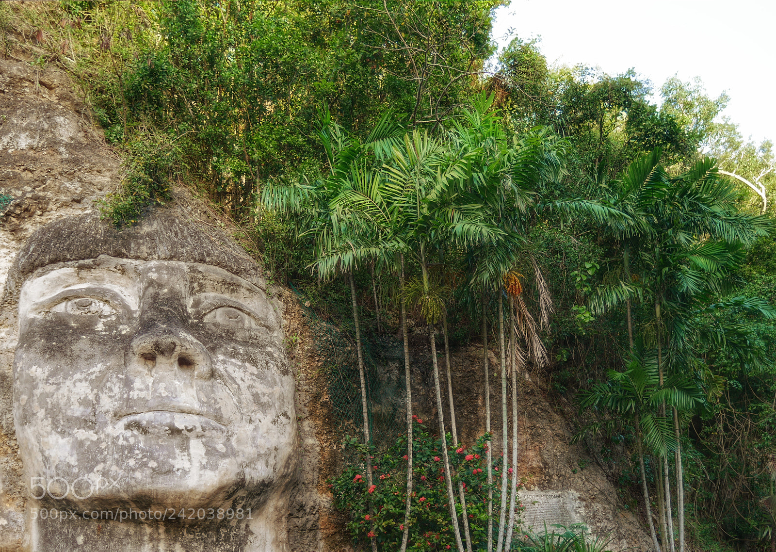 Panasonic Lumix DMC-G7 sample photo. Puerto rican indian tribute photography