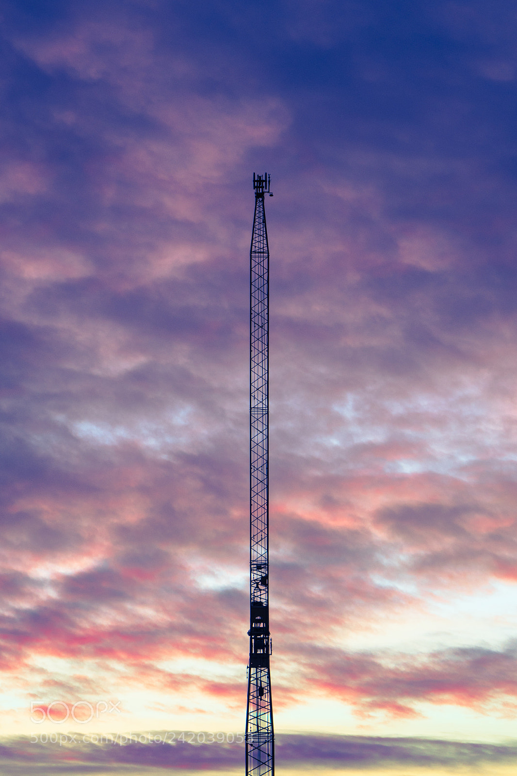 Sony a7 II sample photo. 009/365: crane photography