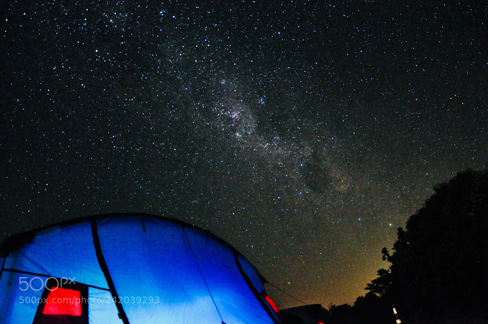 Nikon D90 sample photo. Camping under the stars photography