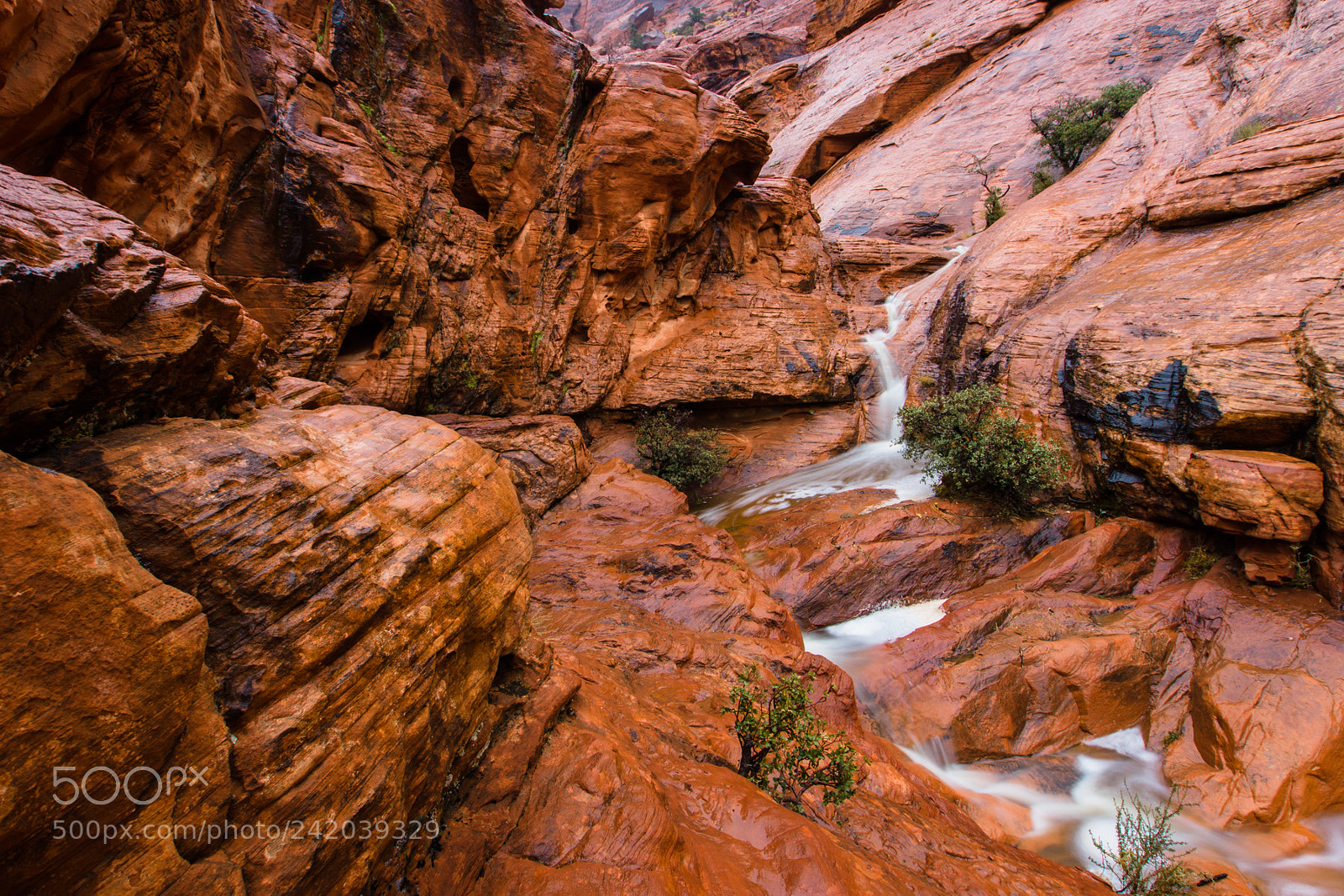 Sony SLT-A77 sample photo. Red rock rain photography