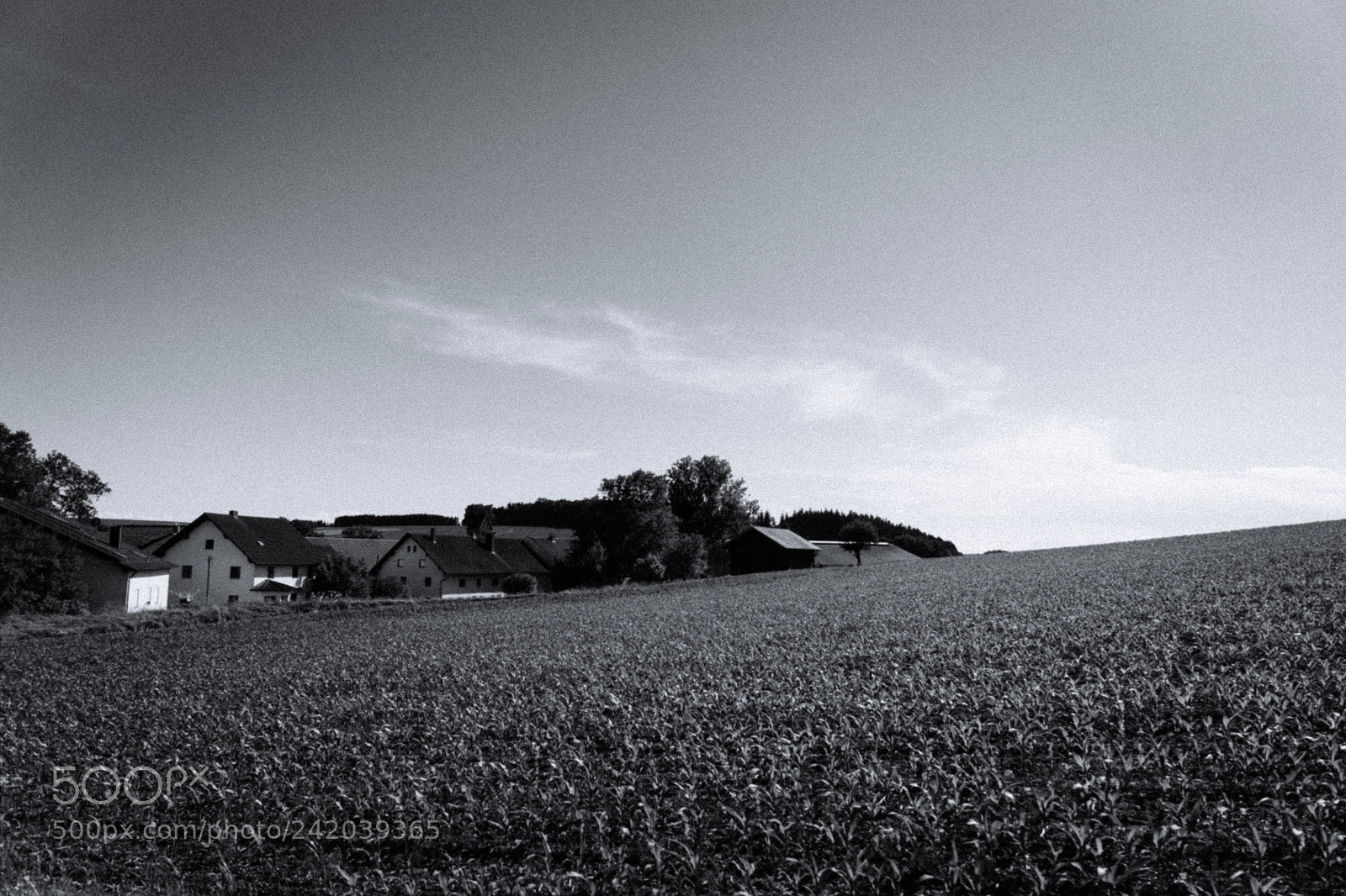 Sony SLT-A68 sample photo. Random bavarian landscapes photography