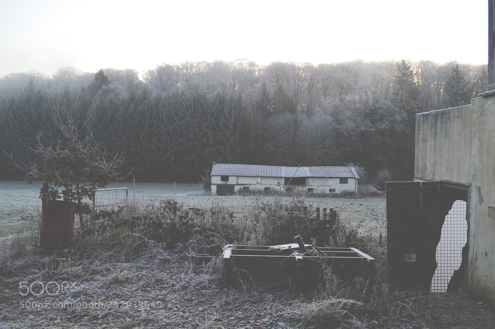 Nikon D3200 sample photo. Find me or not photography