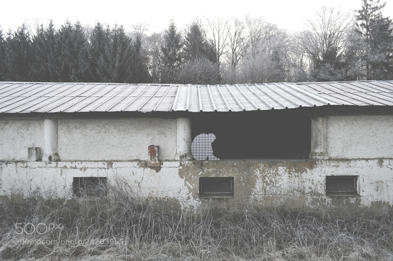Nikon D3200 sample photo. Find me or not photography