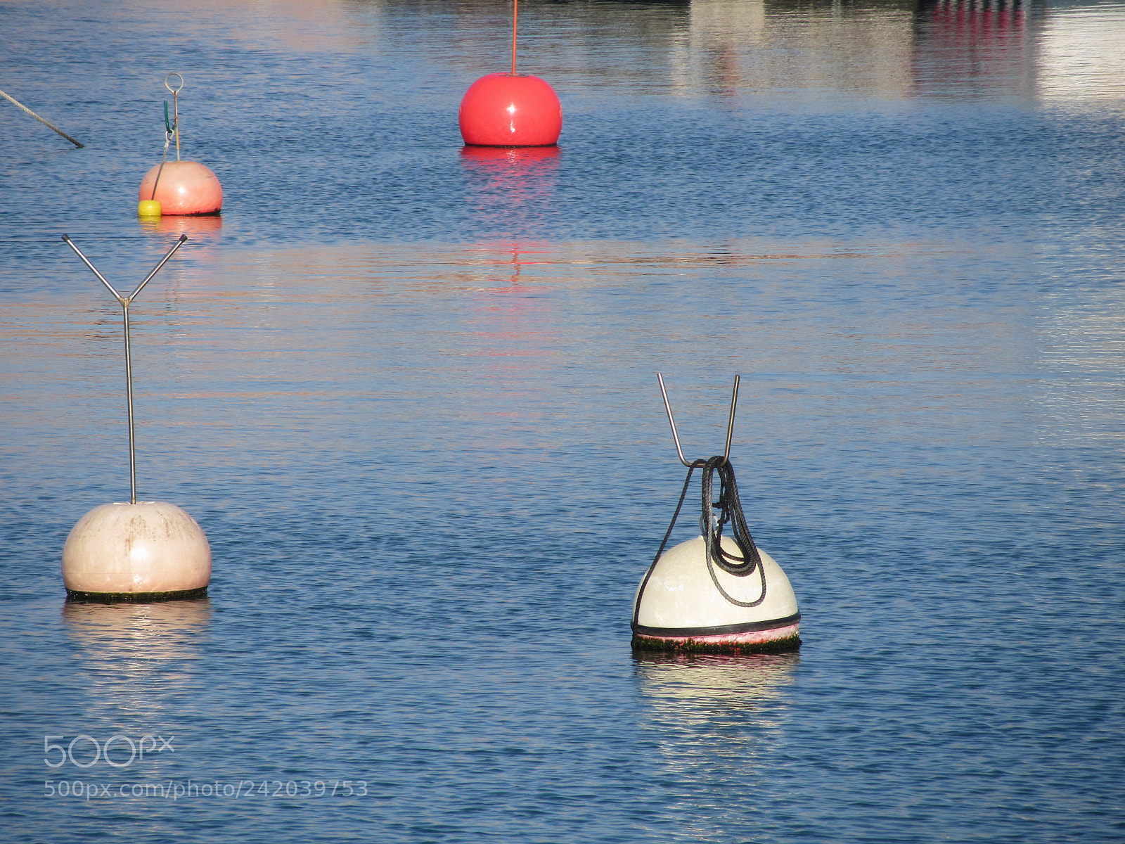 Canon PowerShot SX230 HS sample photo. Lots of mooring buoys photography