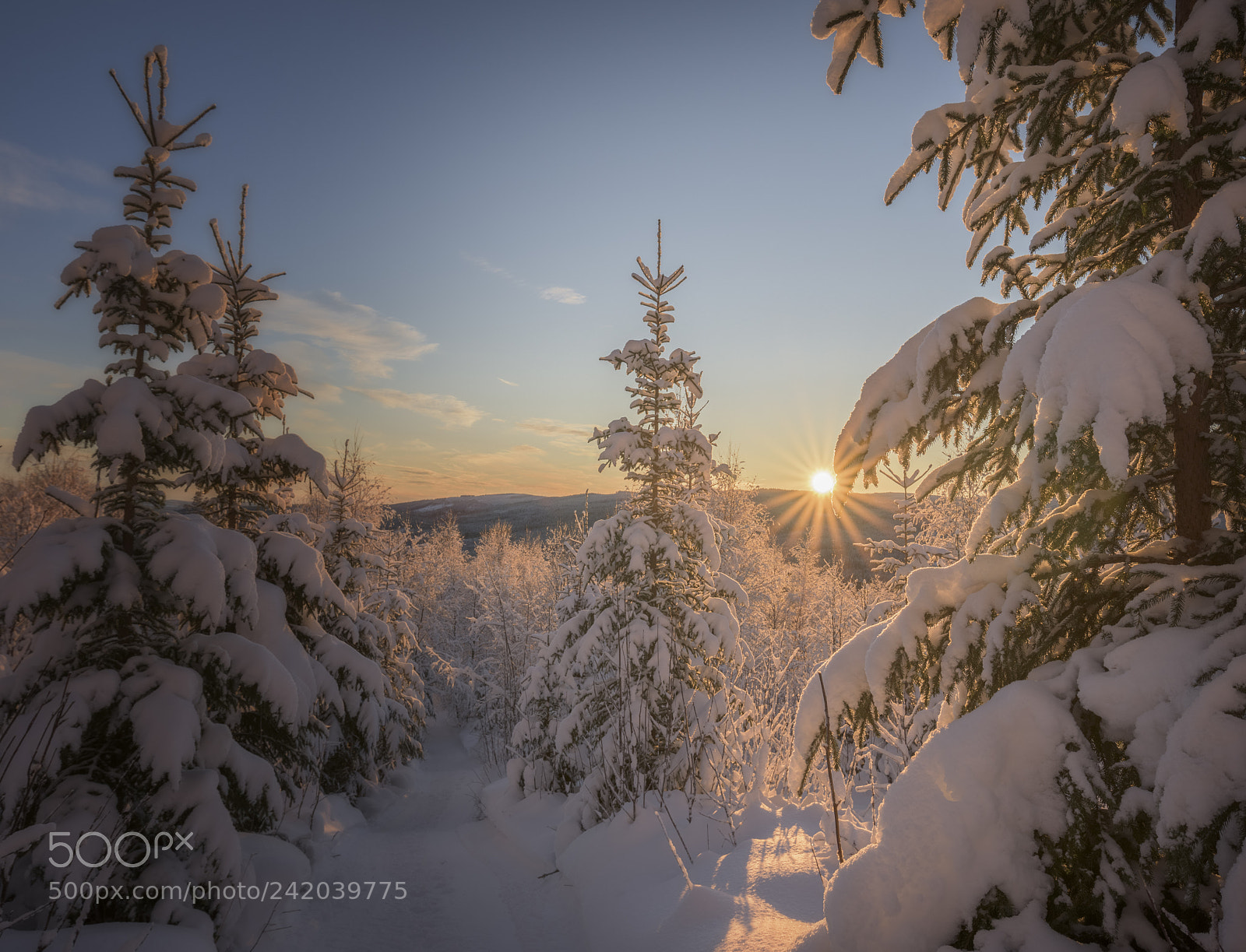 Nikon D810 sample photo. Sundown in winter mountain photography
