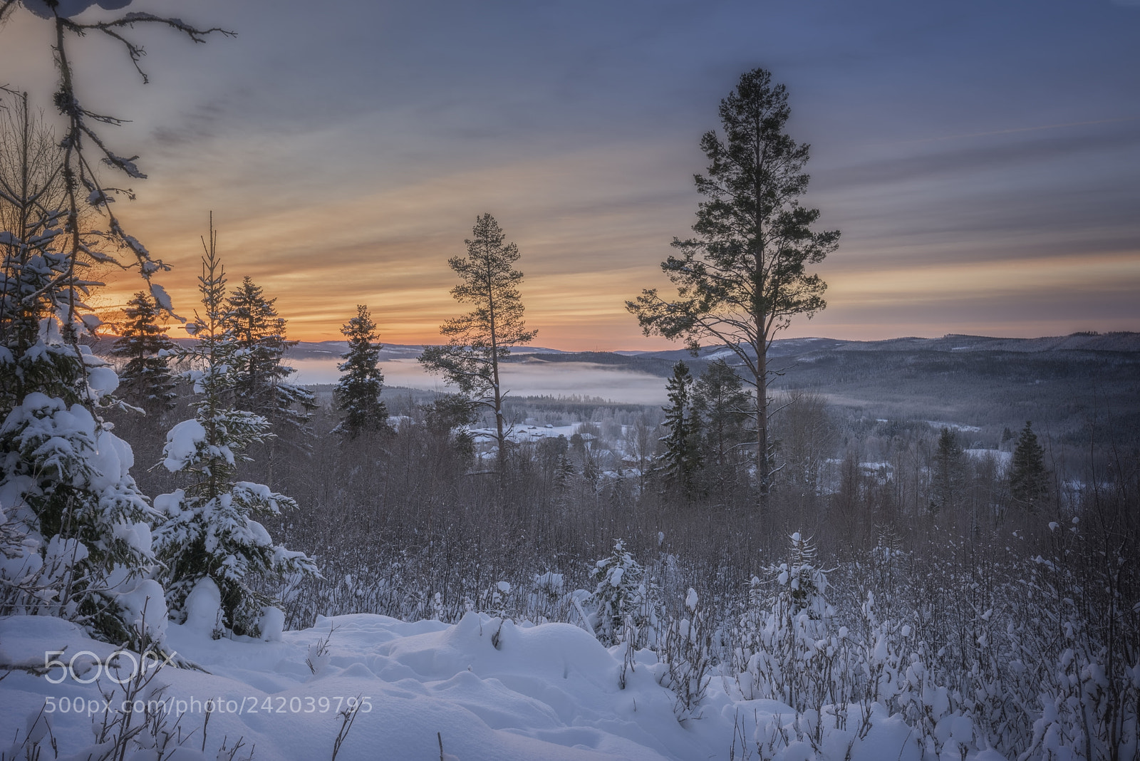 Nikon D810 sample photo. Sunrise in an winter photography