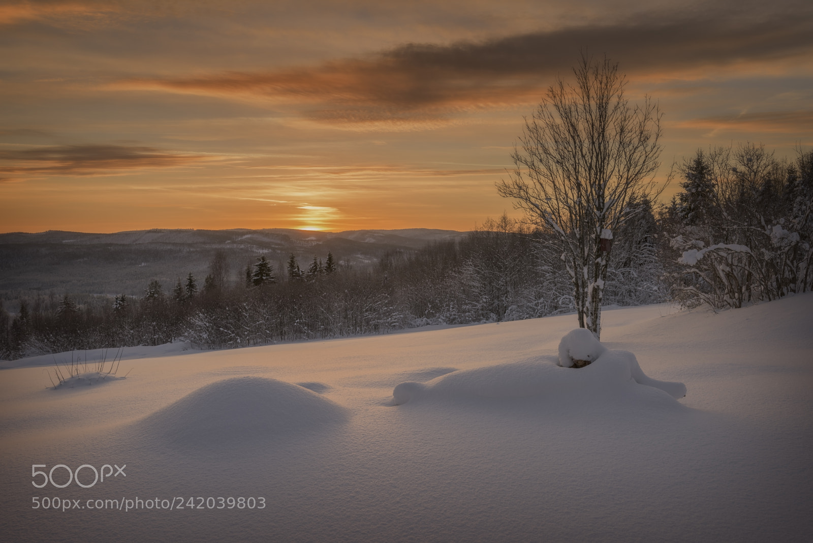 Nikon D810 sample photo. Sunset in orange winter photography