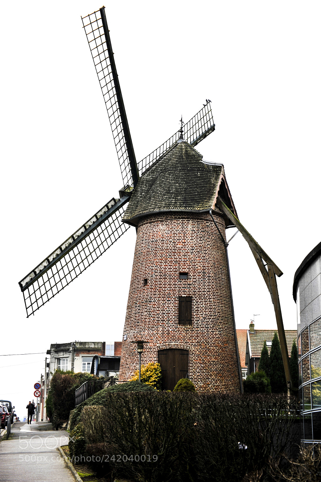 Nikon D700 sample photo. Molino photography