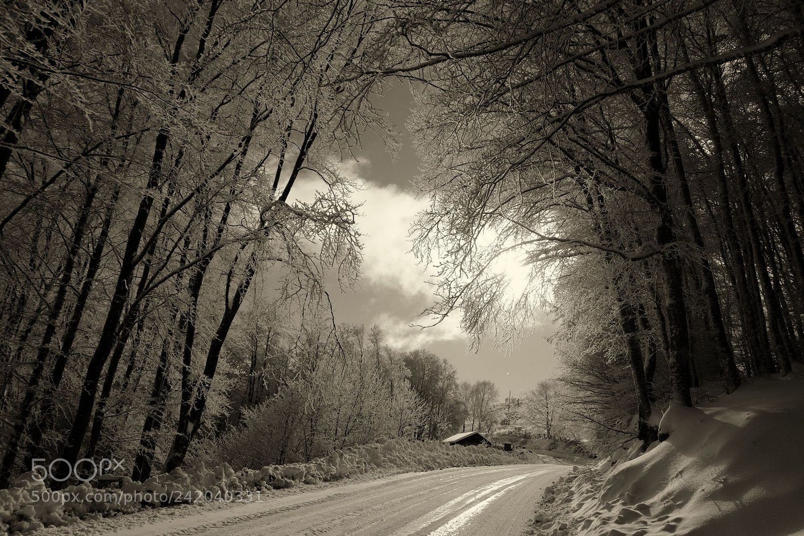 Fujifilm X-M1 sample photo. Mountain road photography
