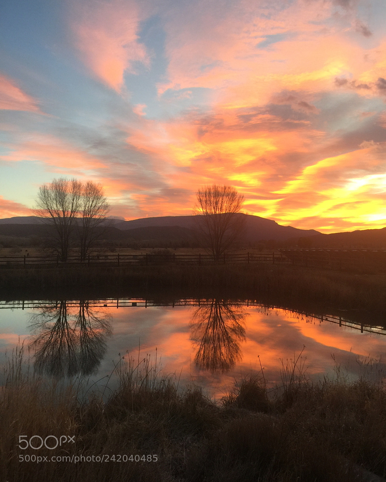Apple iPhone 6 Plus sample photo. Sunrise over roaring fork photography