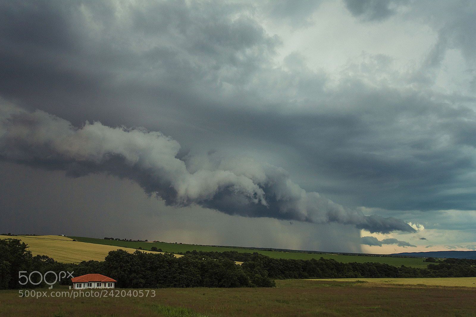 Nikon D5 sample photo. Storm photography