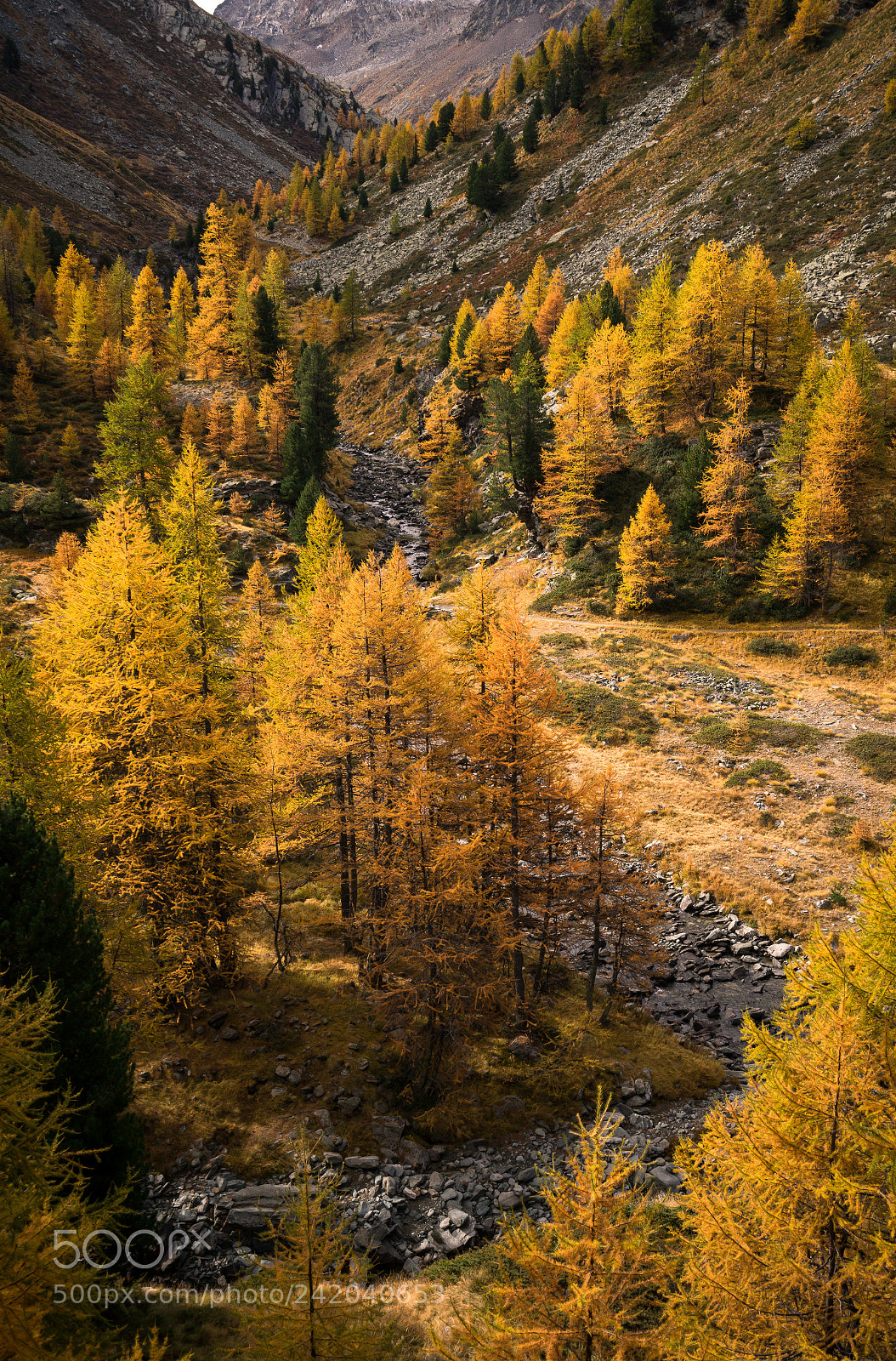Sony a7R sample photo. Föhren photography