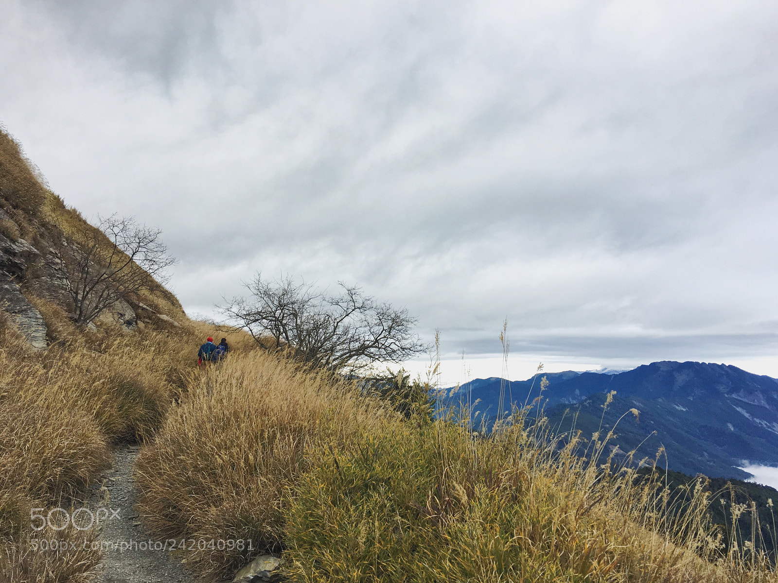 Apple iPhone 6s Plus sample photo. 台灣，合歡山，小奇萊步道 photography