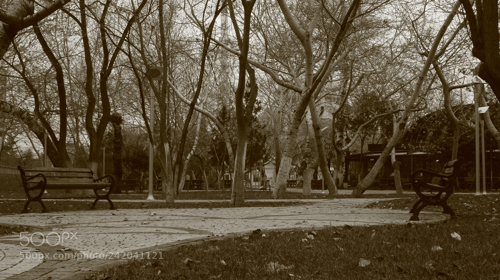 Canon EOS M sample photo. Kavakli park - atak photography