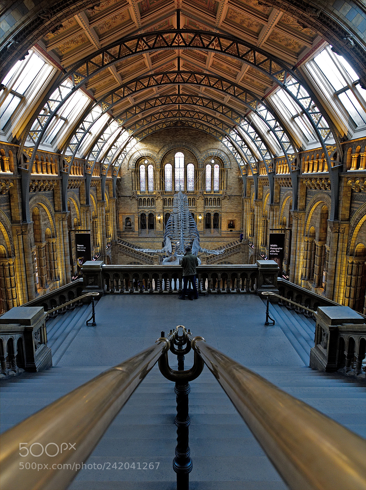 Olympus OM-D E-M5 II sample photo. Natural history museum, london. photography