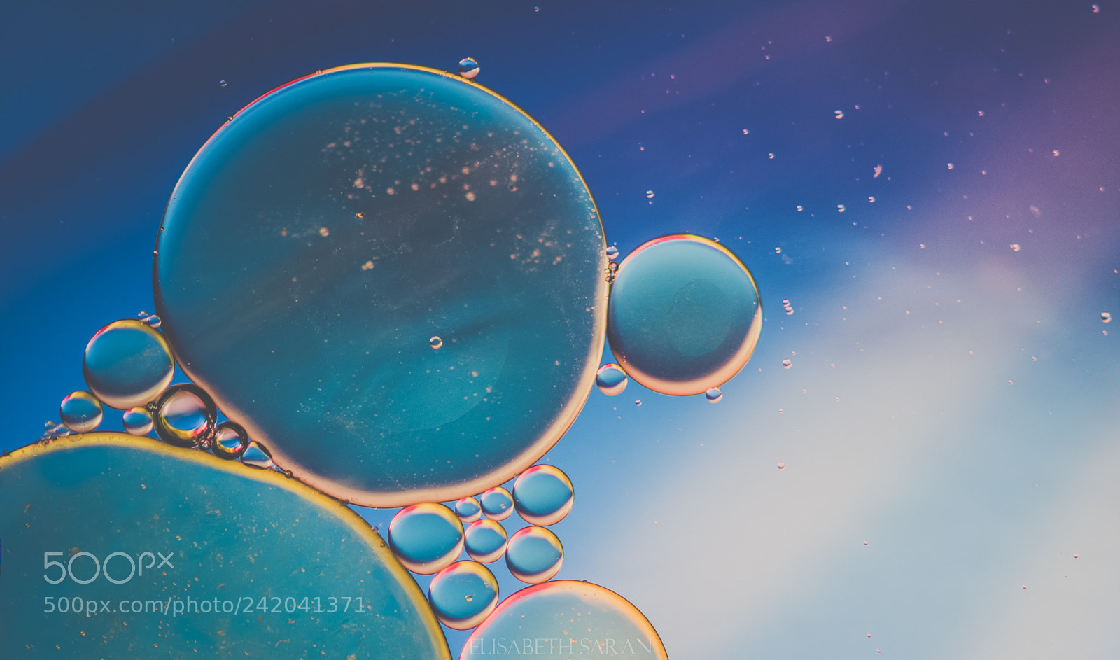 Nikon D810 sample photo. A tiny universe i photography