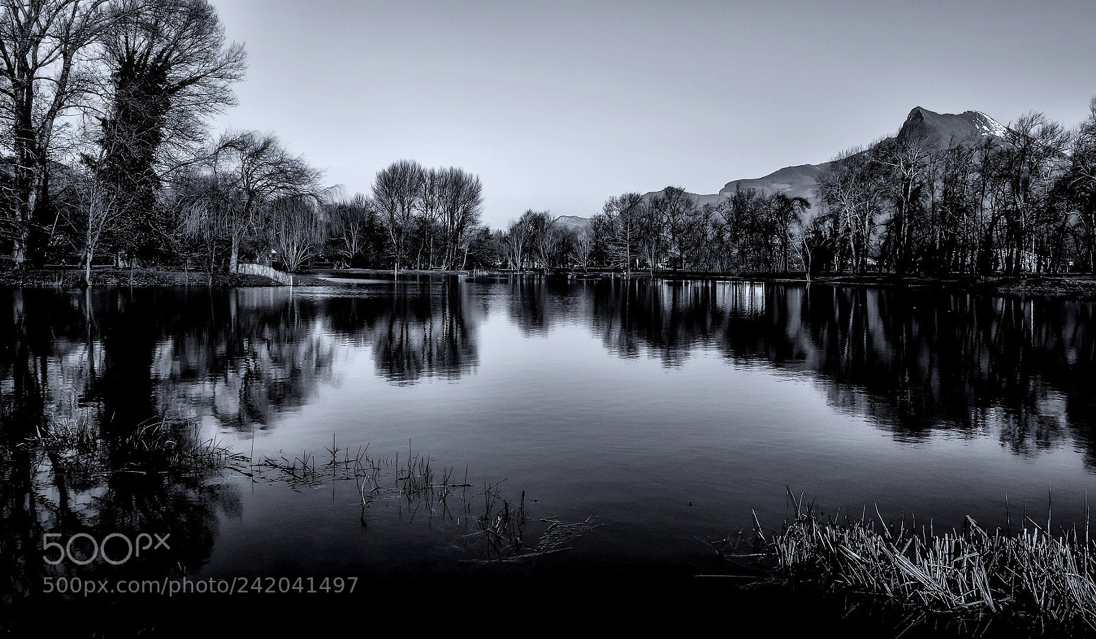 Sony Cyber-shot DSC-RX100 II sample photo. Reflections in black and photography