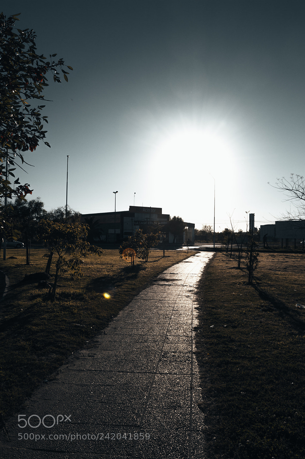 Nikon D3200 sample photo. Camino photography