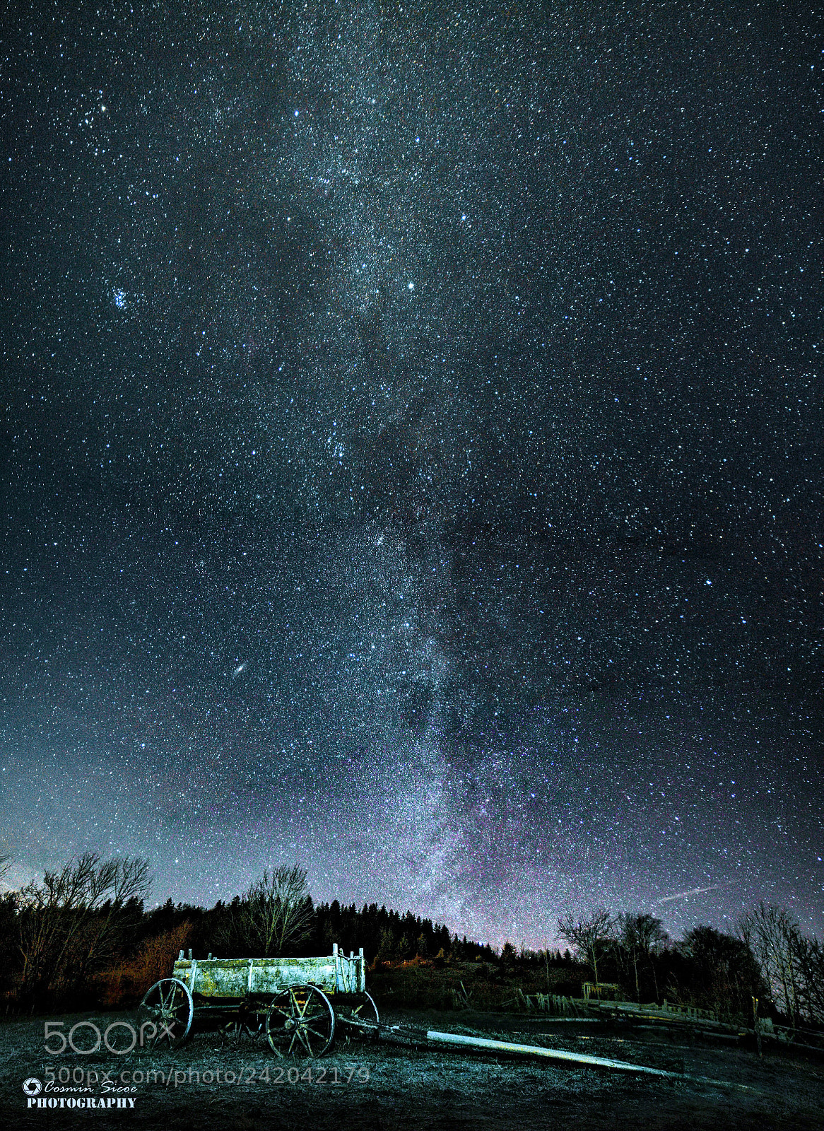 Nikon D5600 sample photo. Milky way and the photography